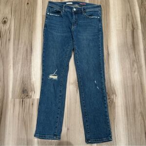 Anthropologie Pilcro Slim Boyfriend Jeans Women’s 28